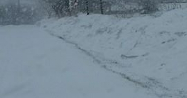 VISCOL LA CONSTANȚA! Se circulă greu în mai multe zone - 3