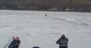 GALERIE FOTO / Incredibil! S-a aventurat în mijlocul Canalului Dunăre-Marea Neagră și apoi a cerut ajutor - 2