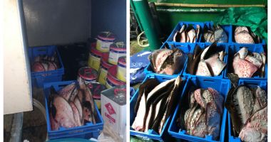 SUTE DE KILOGRAME DE CALCAN, confiscate de pe un pescador din Portul Tomis