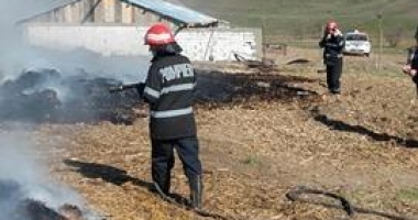 GALERIE FOTO / O mașină a ars în Constanța, după un incendiu izbucnit la furaje - 9