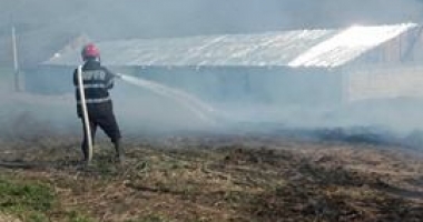 GALERIE FOTO / O mașină a ars în Constanța, după un incendiu izbucnit la furaje - 6