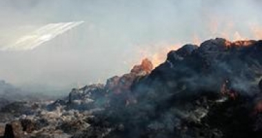 GALERIE FOTO / O mașină a ars în Constanța, după un incendiu izbucnit la furaje - 2