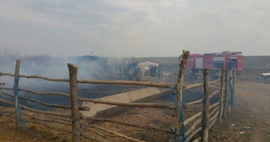 Galerie foto-video. Pompierii din Constanța, în alertă! Saivan cu animale, cuprins de flăcări - 5