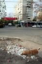 Mizeriile Constanței