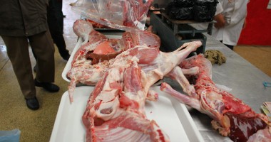 Stire din Eveniment : Sute de kilograme de carne de miel, confiscate astăzi de polițiștii din Constanța