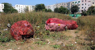 Maidanul cu gunoaie din mijlocul Constanței? - 4