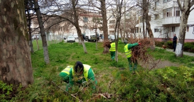 180 tone de deșeuri adunate în Campania "Curățăm Constanța noastră" - 3