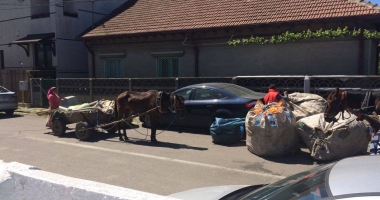 CONSTANȚA ANULUI 2017. CĂRUȚE PE STRĂZI ȘI "AFACERI" CU STICLE DIN GUNOAIE. Cât mai avem de îndurat? - 5