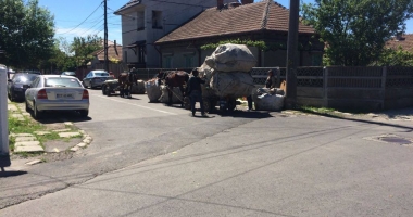 CONSTANȚA ANULUI 2017. CĂRUȚE PE STRĂZI ȘI "AFACERI" CU STICLE DIN GUNOAIE. Cât mai avem de îndurat? - 2