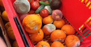 Stire din Social : FRUCTE, LEGUME ȘI ALIMENTE STRICATE, VÂNDUTE LA CONSTANȚA. Ce au descoperit inspectorii OPC