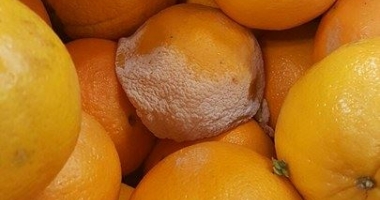 FRUCTE, LEGUME ȘI ALIMENTE STRICATE, VÂNDUTE LA CONSTANȚA. Ce au descoperit inspectorii OPC - 2