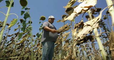 Stire din Economie : Nota pentru seceta din 2012: 800 de milioane de euro