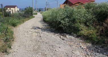 DEZASTRUL din Palazu Mare - 8