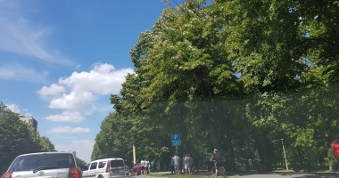 Galerie foto. ACCIDENT RUTIER GRAV, LA CONSTANȚA. UN TAXI S-A RĂSTURNAT - 3