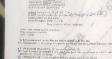 UPDATE. SUBIECTE EVALUARE NAȚIONALĂ 2017. Ce le-a picat la limba română - 3