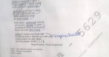 UPDATE. SUBIECTE EVALUARE NAȚIONALĂ 2017. Ce le-a picat la limba română - 4