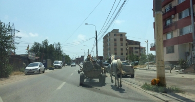 CÂT SĂ MAI ÎNDURĂM AȘA CEVA? DE CE ARATĂ ÎN ASEMENEA HAL CONSTANȚA ANULUI 2017?