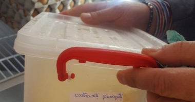 GALERIE FOTO-VIDEO. Mâncare expirată și condiții mizerabile la terasele de pe plaja Modern. Două locații amendate de OPC - 5