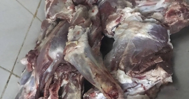 GALERIE FOTO-VIDEO. MIZERIE DE NEDESCRIS. FOCAR DE INFECȚII LA UN RESTAURANT DIN CONSTANȚA - 6