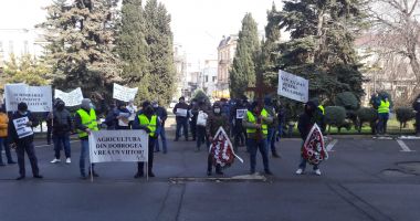 GALERIE FOTO / Fermierii protestează la Constanţa - 2