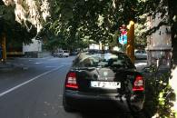 Te-am zărit după copac, după ce m-am tamponat