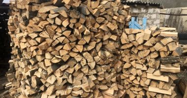 Beneficiarii cardurilor de energie vor putea cumpăra lemne de foc direct de la Romsilva