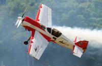Artiștii manșei fac senzație la Aeromania 2009
