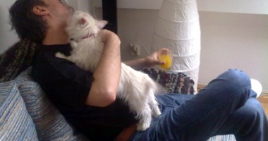 Stire din Cetățenești : Cum să vă despărțiți mai ușor de câinele bolnav