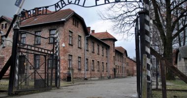 Stire din Politică-Administrație : Guvernul susține introducerea disciplinei "Istoria Evreilor. Holocaustul" ca materie obligatorie în școli