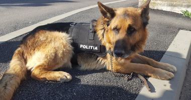 ZI IMPORTANTĂ DE AMBELE PĂRȚI! Elevi din Constanța, la sediul Poliției - 2