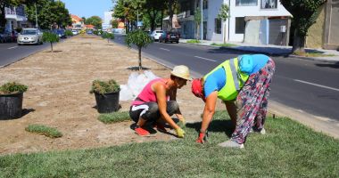 Continuă montarea rulourilor de gazon în orașul Constanța - 2