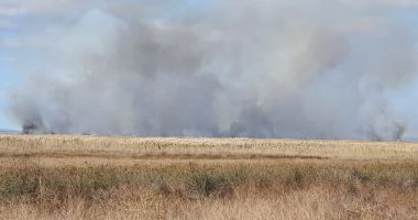 Rezervația Biosferei Delta Dunării, în flăcări. Intervin pompierii - 1