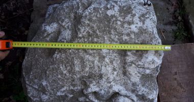 Artefact antic indisponibilizat de polițiștii constănțeni - 1