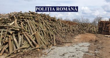 Acţiune a poliţiştilor pentru combaterea faptelor ilegale în domeniul forestier - 2