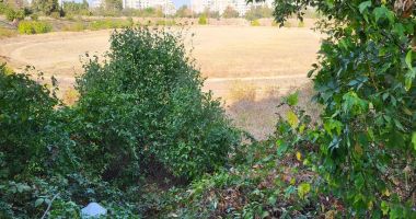 Campania "Cuget Liber" - Păstrează Constanța curată! - "Jungla" din complexul "Badea Cârţan". Beţivi, prostituate, mizerie şi bălării cât casa - 3