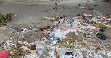 S-au dus micii şi găinile, au răsărit blocurile! Cum mai merg afacerile pe "varianta" Constanţei - 3