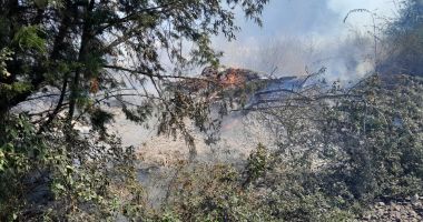 Mai multe trenuri au fost oprite pe calea ferată, din cauza incendiului de la Olimp - 3