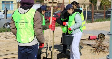 Voluntarii constănțeni contribuie la un RESTART pentru Palatul Copiilor - 2