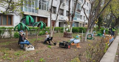 Se poate și așa! Povestea creațiilor din materiale reciclabile, cu QR code, expuse în grădina unui bloc - 3