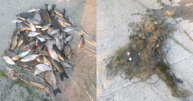 Stire din Eveniment : Zeci de kilograme de pește prins ilegal și 1.400 de metri de plasă monofilament, descoperite la Tulcea