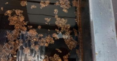 Comisarii CJPC au închis mai multe restaurante din Constanța și Năvodari. Iată ce nereguli au constatat - 3