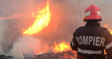 Stire din Eveniment : Alertă la Hârșova! Un incendiu de vegetație a cuprins mai multe gospodării