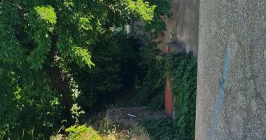 Autorităţile se mişcă precum melcul! Teatrul de Copii şi Biserica Greacă din Constanţa, la un pas de prăbuşire! - 3