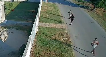 Stire din Eveniment : Autorii incendiului de vegetație de la Poarta Albă au fost prinși de autorități