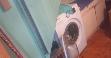 Condiții insalubre descoperite de comisarii CJPC la o vilă turistică din Constanța - 2