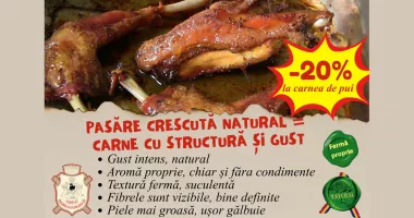 De ce să tratezi o boală când o poți preveni? - 2