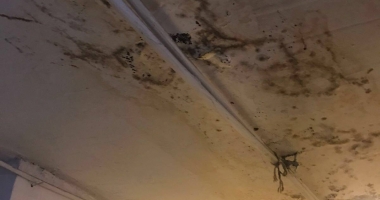 GALERIE FOTO-VIDEO. MIZERIE DE NEDESCRIS. FOCAR DE INFECȚII LA UN RESTAURANT DIN CONSTANȚA - 4