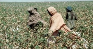 Stire din Eveniment : Descinderi la o rețea de călăuze de emigranți