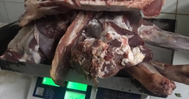 GALERIE FOTO-VIDEO. MIZERIE DE NEDESCRIS. FOCAR DE INFECȚII LA UN RESTAURANT DIN CONSTANȚA - 8