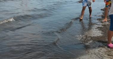 Galerie foto. E jale în Mamaia! Plaja, invadată de alge și miros teribil - 2